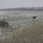 Кадр із фільму «Війна очима тварин», оприлюднений Укрінформ як ілюстрація до фестивалю