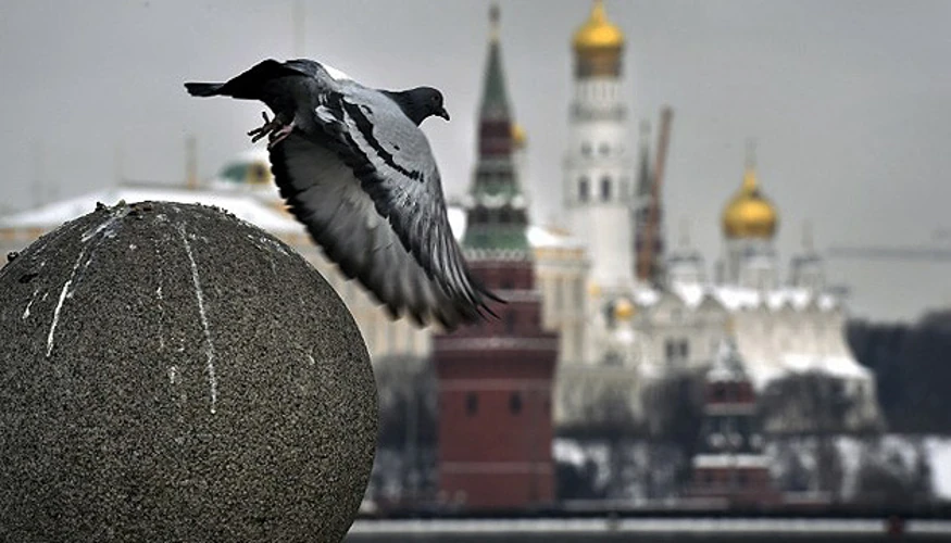 Рішення Кремля 23 вересня: відмова від мирного треку та умови для зустрічі